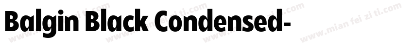 Balgin Black Condensed字体转换